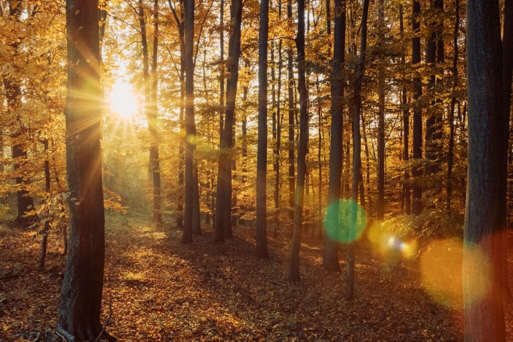 How to make solar lights stay on longer (Top 3 things you can do